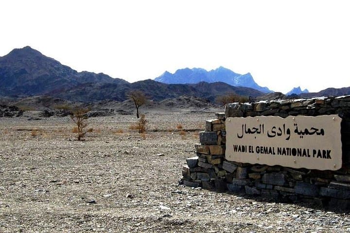 Private Wadi El Gemal Day Trip from Marsa Alam — Snorkel Sharm el Lulli & Mangrove Beach photo 3
