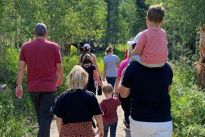 Backcountry Walks: Guided 6–7 Mile Hiking Adventure in Yellowstone with Lunch photo 1
