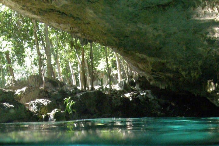 Cenotes Near Tulum: Snorkel Dos Ojos & Casa Cenote (Manati) photo 5