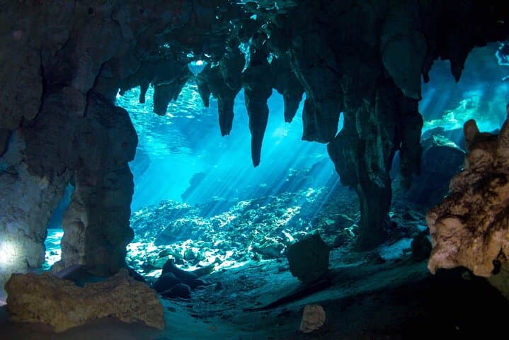 Cenotes Near Tulum: Snorkel Dos Ojos & Casa Cenote (Manati) photo 6