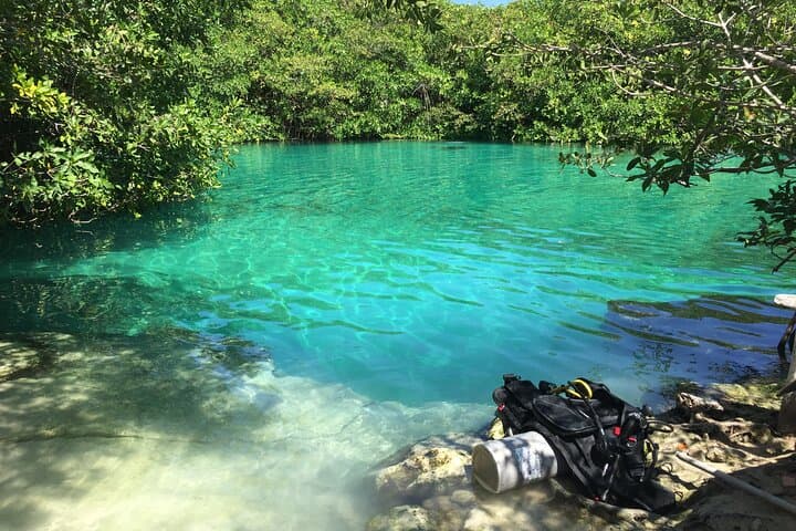 Cenotes Near Tulum: Snorkel Dos Ojos & Casa Cenote (Manati) photo 3