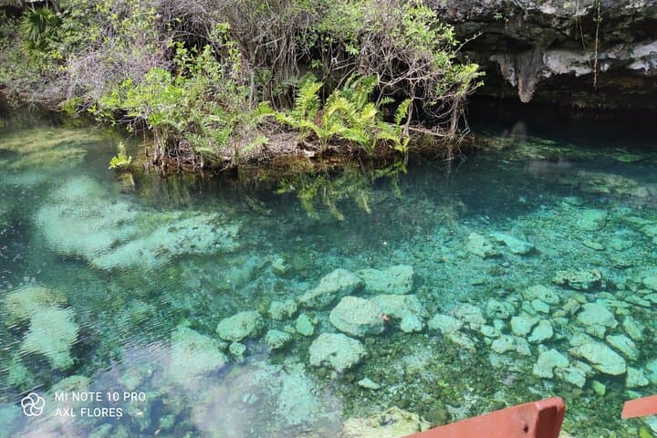 Private Riviera Maya Snorkel Tour: Cenotes, Turtles & Underwater Caves photo 6