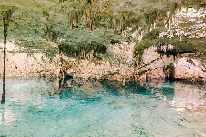Explore Taak Bi Ha Cenote: Snorkel the Sacred Cavern Near Tulum photo 5