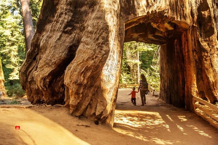 Yosemite Self-Guided Audio Driving Tour — Explore Valley, Tioga & Sequoias by Car photo 6
