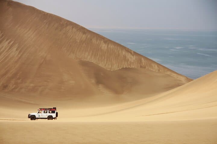 Mola Mola Marine Dune Experience: Walvis Bay Dolphin Cruise & Sandwich Harbour Dune Drive photo 3