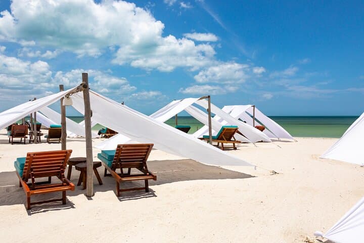 Holbox Island Boat & Golf Buggy Day Trip — Isla Pasion, Punta Mosquito & Eco-Resort Lunch photo 4