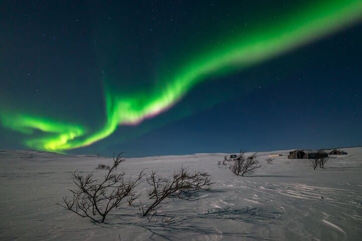 Northern Lights Hunt from Alta Cruise Harbor — Aurora Chase & Science Briefing photo 5