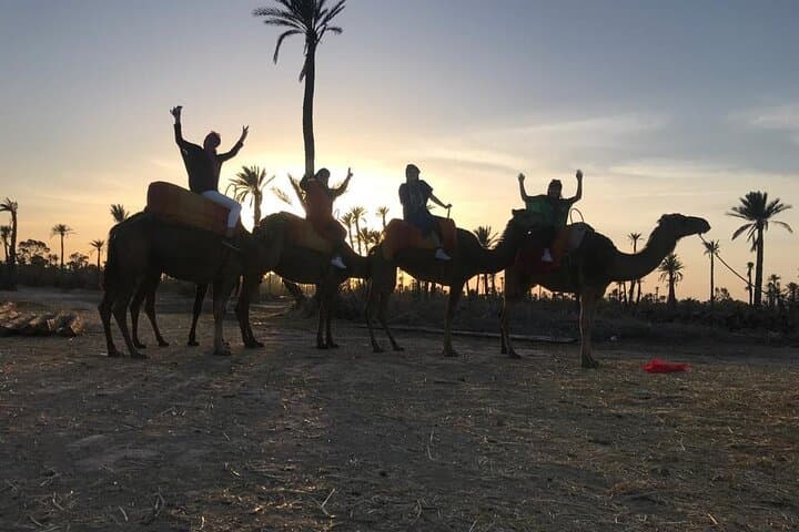Sunset Camel Ride in Marrakech Palmeraie — Camel Tour, Berber House & Mint Tea photo 4