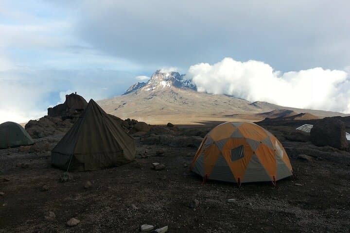 7-Day Kilimanjaro Trek via Machame Route — Summit Uhuru Peak photo 2