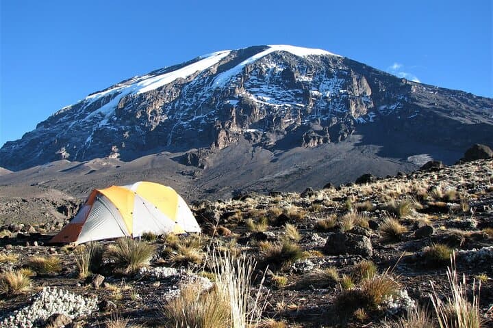7-Day Kilimanjaro Trek via Machame Route — Summit Uhuru Peak photo 4