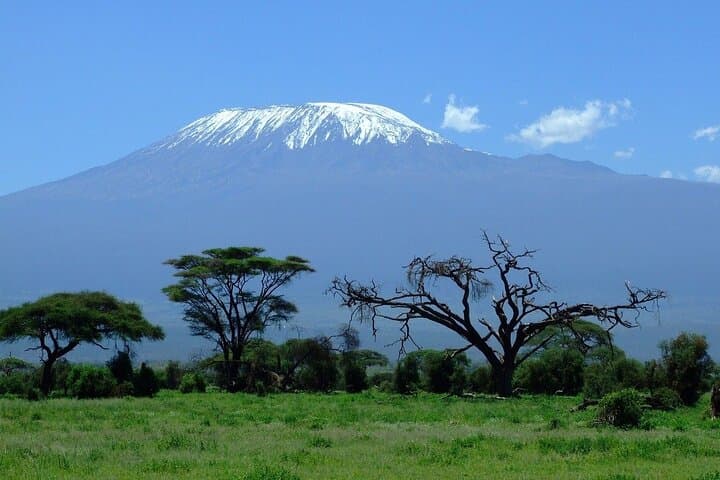 7-Day Kilimanjaro Trek via Machame Route — Summit Uhuru Peak photo 5