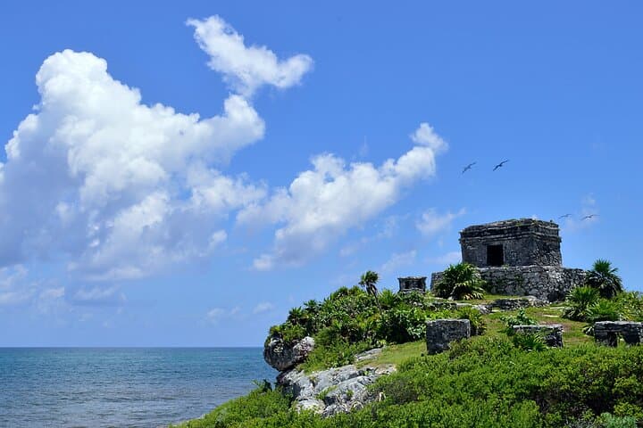 Tulum and Coba in One Day: Cenotes, Ruins & Playa del Carmen photo 5