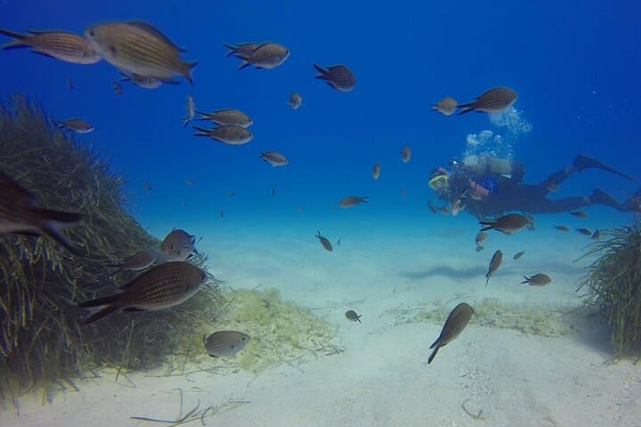 Dive the MIG-21 Wreck at Drymades: Beginner-Friendly Scuba on Albania’s Ionian Coast photo 3