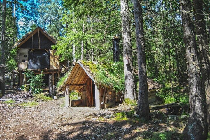 7-Day Private Multi-Activity Swedish Nature Retreat: Canoeing, Workshops & Forest Living photo 4