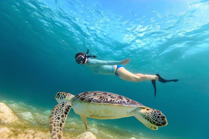 Snorkel with Akumal Turtles, Tulum Ruins & Cenote Day Trip from Cancun or Playa del Carmen