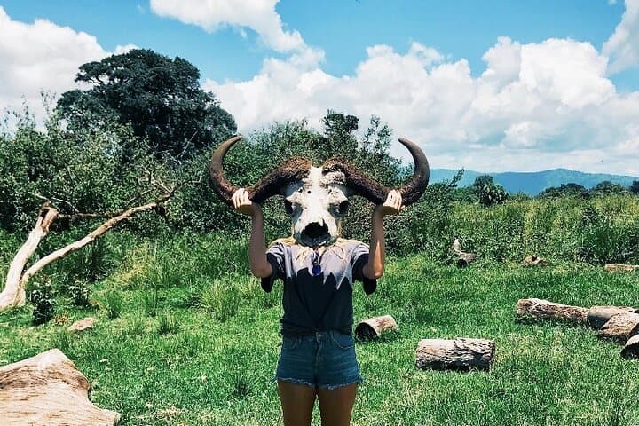 3-Day Tarangire, Lake Manyara & Ngorongoro Safari — Elephants, Tree-Climbing Lions & Crater Game Drives