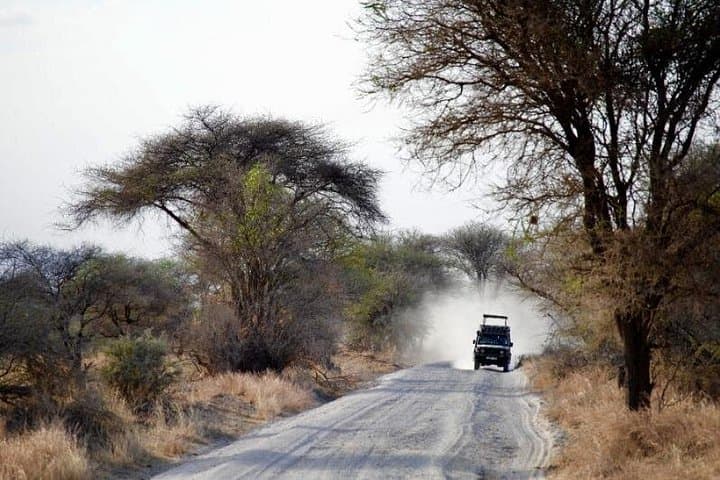 Day Safari in Tarangire National Park — Full-Day Wildlife Drive from Arusha photo 2