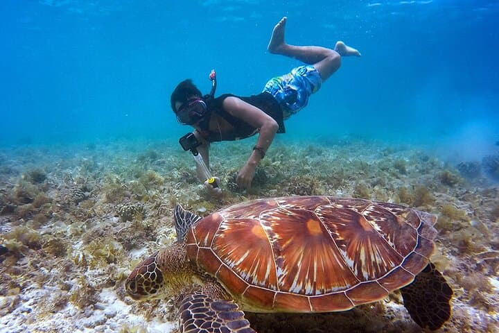 Platinum Catamaran Party & Isla Mujeres Snorkel from Cancun photo 6