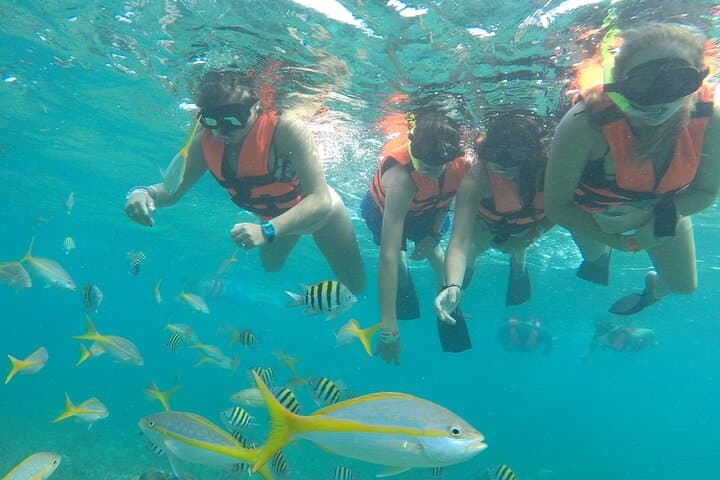 Platinum Catamaran Party & Isla Mujeres Snorkel from Cancun photo 2