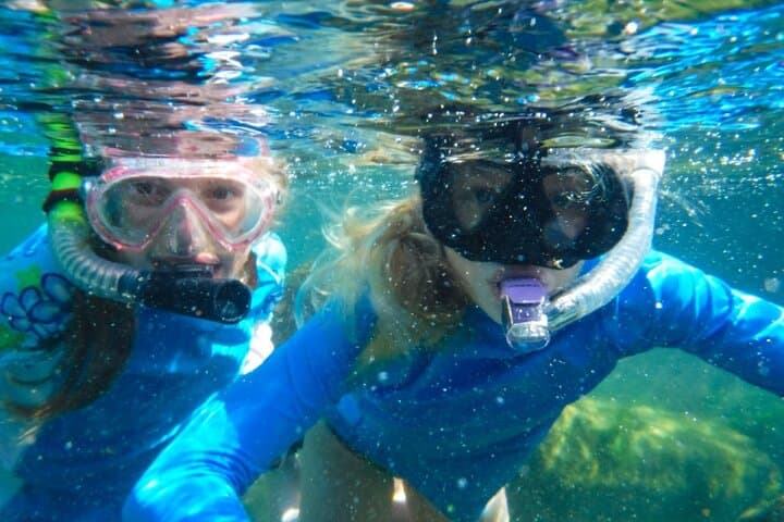 Private Riviera Maya Snorkel Tour: Cenotes, Turtles & Underwater Caves photo 5