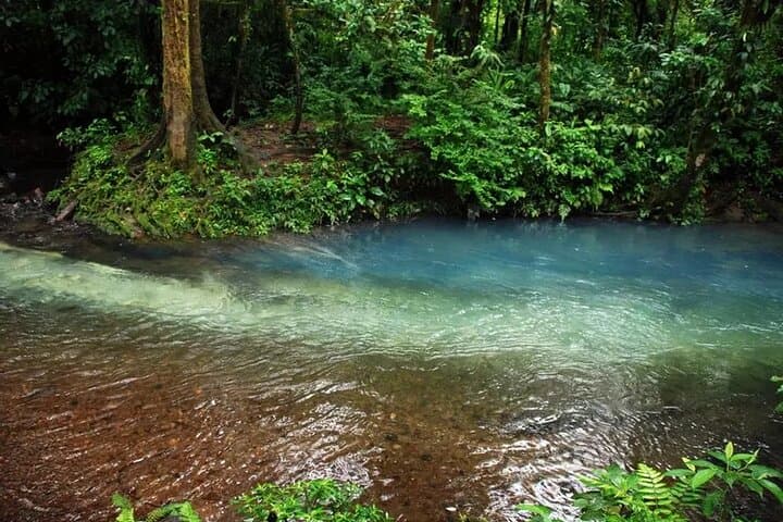 Rio Celeste Hike at Tenorio Volcano National Park — Blue River Waterfall Day Hike photo 4