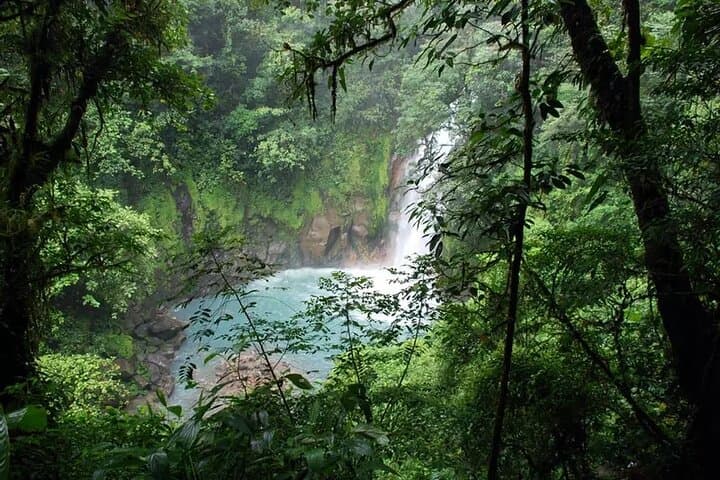 Rio Celeste Hike at Tenorio Volcano National Park — Blue River Waterfall Day Hike photo 5