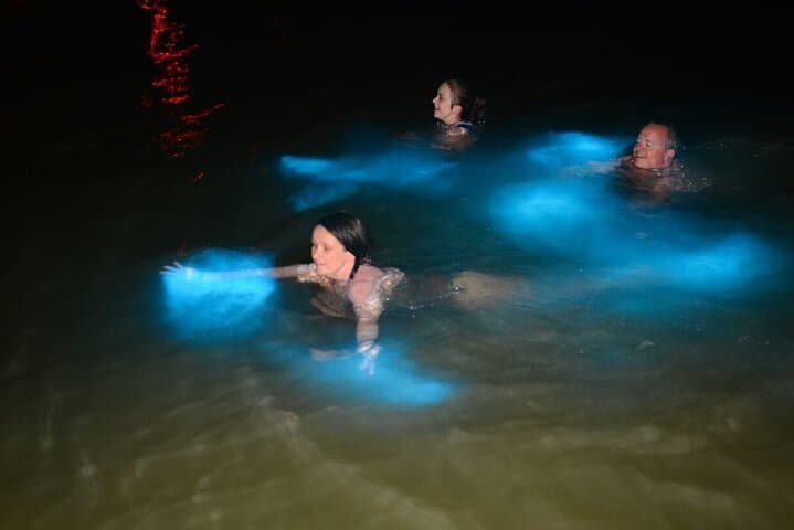 Luminous Lagoon Private Night Tour — Swim Among Bioluminescent Waters Near Montego Bay