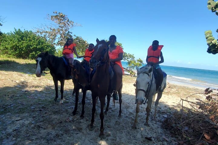 Dunn's River Falls: Climb, Zipline & Horseback Ride from Ocho Rios photo 3