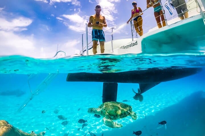 Klein Curacao Adventure Day Trip — Snorkel Turtles, Visit the Lighthouse & Shipwreck photo 5