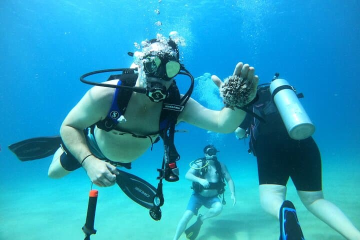 Beginner Scuba Diving in Rincón: Private Guided Reef Dives for First-Timers