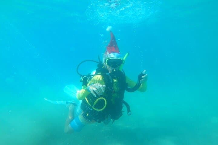 Beginner Scuba Diving in Rincón: Private Guided Reef Dives for First-Timers photo 5