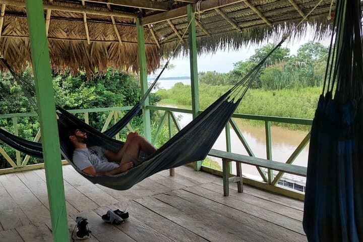 Amazon Jungle Experience: 3-Day Wildlife Expedition from Iquitos photo 3