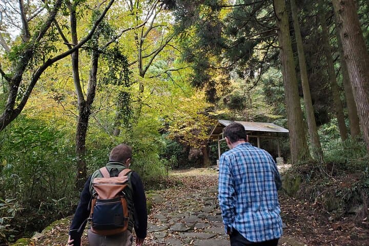 Aso Caldera Walk: Bungo Kaido Historical Trail & Grassland Views photo 2