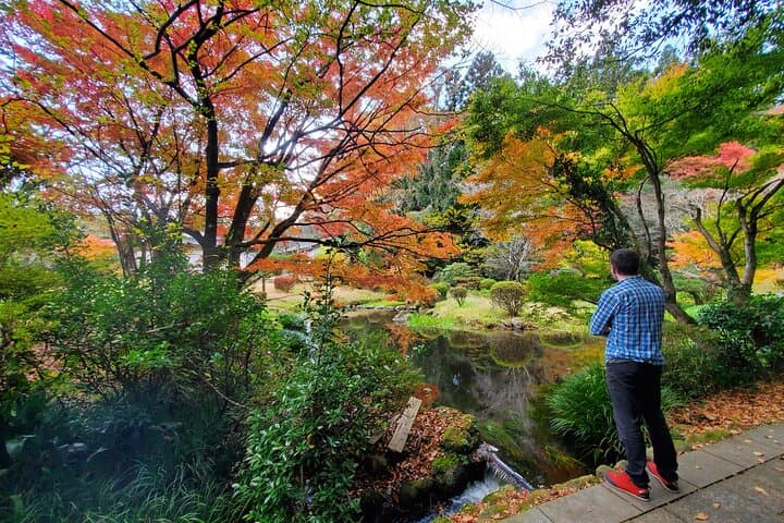 Aso Caldera Walk: Bungo Kaido Historical Trail & Grassland Views photo 4