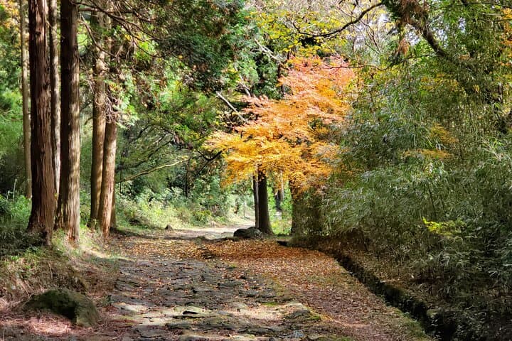 Aso Caldera Walk: Bungo Kaido Historical Trail & Grassland Views photo 6