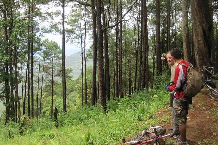Highlanders Route Advanced Mountain Bike Tour Chiang Mai — Doi Pui to Valley Singletrack photo 6