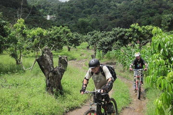 Highlanders Route Advanced Mountain Bike Tour Chiang Mai — Doi Pui to Valley Singletrack photo 2