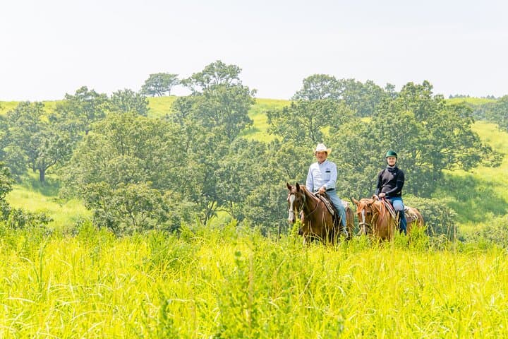 3-Day Aso Caldera Wellness: E-MTB, Horseback Riding & Onsen Retreat photo 4