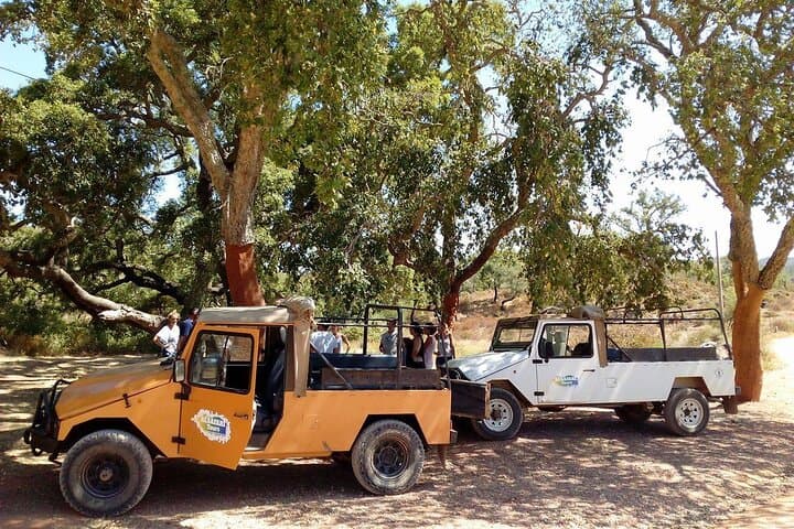 Algarve Half-Day Safari and Winery Tasting from Albufeira photo 3