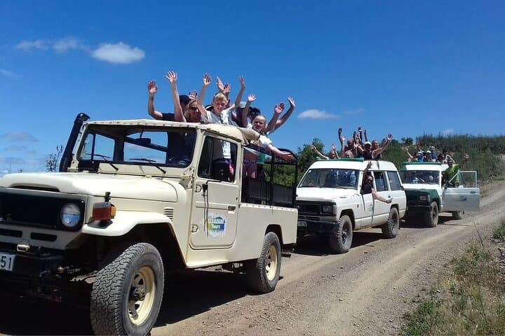 Algarve Half-Day Safari and Winery Tasting from Albufeira photo 5