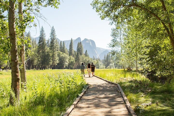Yosemite Full Day Private Tour & Hike — Valley Walks, Waterfalls & Gourmet Picnic photo 3