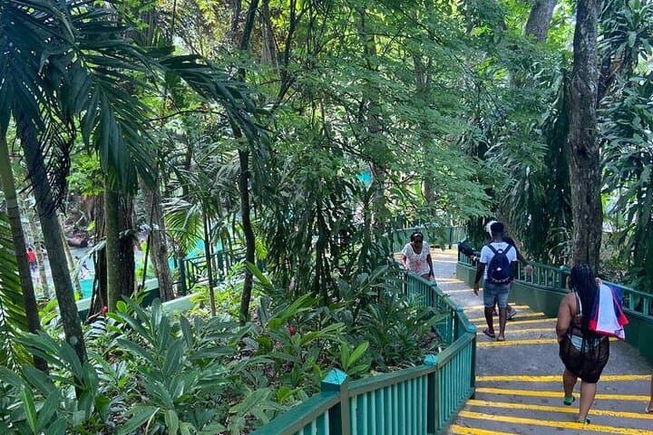 Ride the Caribbean Shore and Climb Dunn's River Falls: Private Horseback & Waterfall Tour photo 3