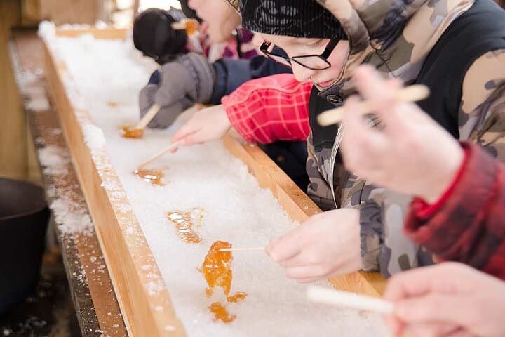 Inside the Sugar Bush: Maple Syrup Tour and Taffy-on-Snow Experience photo 2