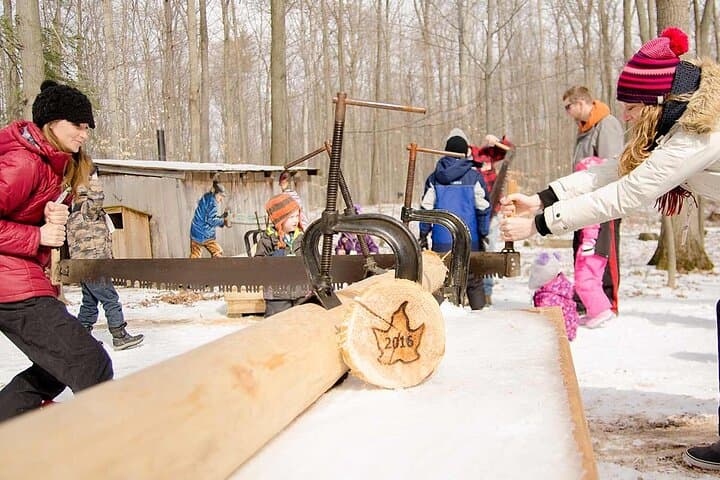 Inside the Sugar Bush: Maple Syrup Tour and Taffy-on-Snow Experience photo 4