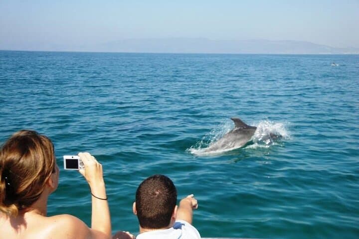 Dolphin Watching from Faro: Ria Formosa Boat Tour photo 6