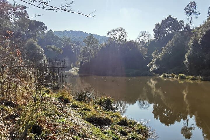 Collserola Photography Route: Hidden Nature & Modernist Corners of Barcelona photo 2