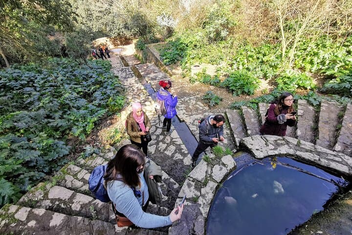 Collserola Photography Route: Hidden Nature & Modernist Corners of Barcelona photo 5