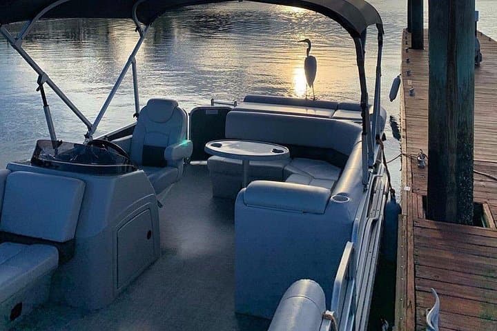 Hilton Head 2-Hour Pontoon Rental: Cruise Broad Creek, Dolphins & Sandbars photo 3