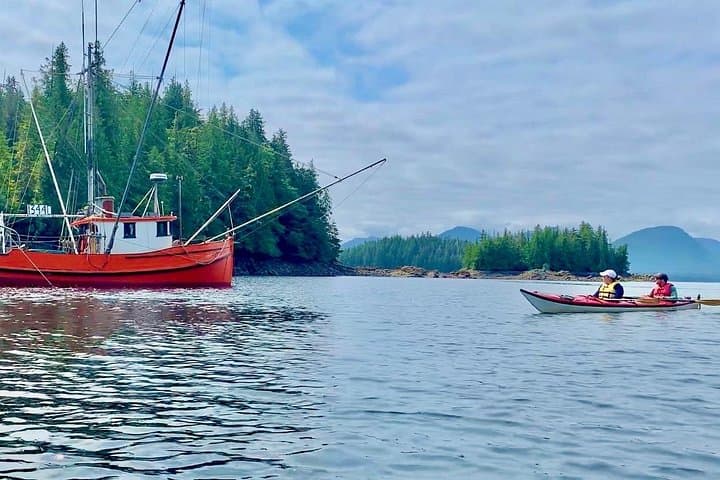 Orca Cove Sea Kayaking — Ketchikan Small-Group Wilderness Kayak Tour
