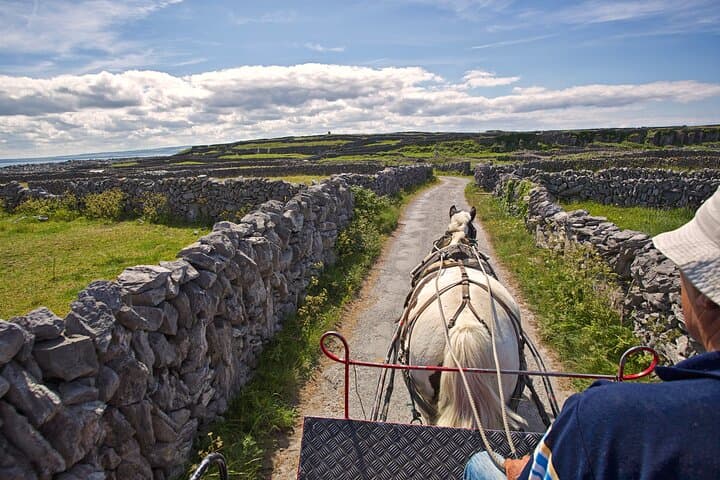 Private Cultural Tour of Inisheer: Horse-and-Trap, Lunch & Island History photo 5